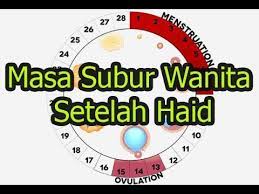 Masa Subur Wanita Setelah Haid Berapa Hari Youtube