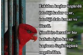 kuslar ile ilgili sozler kus resim guzel soz