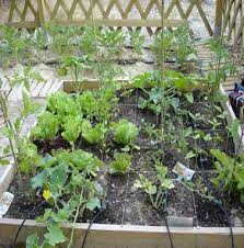 Arrosage goutte a goutte fait maison. Arrosage Goutte A Goutte Astucieux A Faire Pour Le Potager