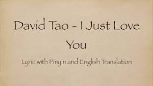 Forever love by 王力宏 leehom wang. David Tao é™¶å–† I Just Love You å°±æ˜¯çˆ±ä½ with Pinyin And English Translation Youtube