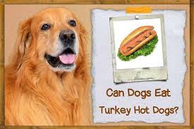 Check spelling or type a new query. Can Dogs Eat Luncheon Meat Zooawesome