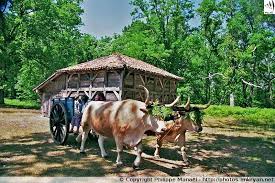 Ecomusee De Marqueze Depart Pour La Riviere 1 Traversee Des Landes Ankryan Photos Landes Aquitaine Photos