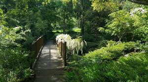 There S A Little Known Unique Garden In Portland And It S Truly Magical Unique Gardens Rose Garden Portland Secret Garden Book