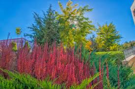 Çayyolu, ankara, turkey | kolej ve üniversite, kampüs binası. Baskent Universitesi Ø¹Ù„Ù‰ ØªÙˆÙŠØªØ± Baskent Te Sonbahar Baskentuniversitesi Baskentuniversity Baskentuniversitesi Kampus Campus Ankara
