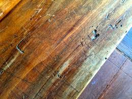 reboucher des trous de termites pates a bois