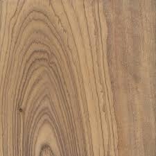 Olive The Wood Database Lumber Identification Hardwood