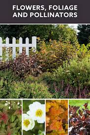 Perfect Plant Pairings Plants Perfect Plants Trees To Plant