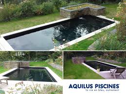 Ressourcez Vous Les Yeux Avec La Purete De La Realisation De Notre Partenaire Aquilus Du Maine Et Loire Les Jardins Aquilus Piscine Piscine Piscine Enterree