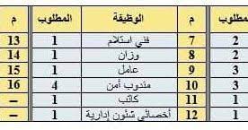 اعلان وظائف وزارة التموين والتجارة الداخلية للمؤهلات العليا والمتوسطة واعدادية بالمحافظات القاهرة والجيزة والاسكندرية والقليوبية مرسى مطر job trading ministry
