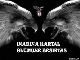 Besiktas Karakartal Resimleri Kartal Galeri