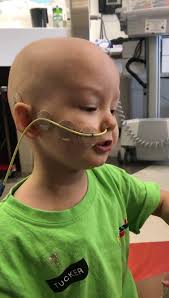 Hello Friends. , Tucker is stable, appendix does not appear to be getting  worse or better. We were reassured that it could take a couple of days for  the antibiotics to work. He continues to have ...