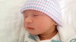 Hitched, Hatched, Hired