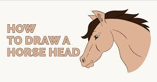 It's a good idea to. How To Draw A Horse S Head Easy Drawing Guides