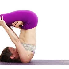 In individuals from yoga for honey production of yoga. Alex Hanly Elham Yoga Hub