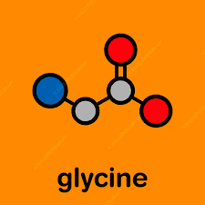 Image result for Glycine