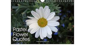 Fresh flowers beautiful flowers colorful roses pink flowers flower meanings flower names language of flowers. Pastel Flower Quotes 2017 Beautiful Flowers And Inspiring Quotes In Pastel Colors Calvendo Nature 9781325180677 Amazon Com Books