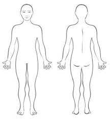 Free blank body, download free clip art, free clip art on. Physical Relaxation Techniques Human Body Diagram Body Diagram Human Body