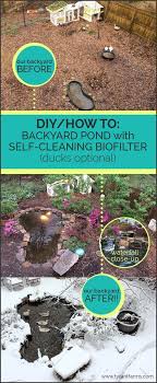 Biological Organization From Smallest To Largest That The Students Can Expect To Find At The Pond Diy How To Build A Backyard Pond With A Self Cleaning Biofilter Ponds Backyard Backyard Ducks Diy Pond