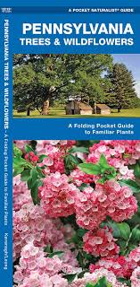 Here at acorn farms wholesale nursery, we offer a wide variety of pennsylvania native trees, shrubs and perennials, including ferns, grasses and groundcovers. Pennsylvania Trees Wildflowers A Folding Pocket Guide To Familiar Plants Wildlife And Nature Identification Kavanagh James Waterford Press Leung Raymond 9781583554166 Amazon Com Books