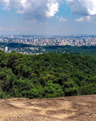 Bate e Volta Perfeito: Parque Estadual da Cantareira e a Melhor Vista da Zona Norte de SP