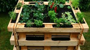 Hochbeet Aus Paletten Bauen Diy Anleitung Mit Video In 2020 Pallet Garden Pallet Garden Furniture Garden Boxes Diy