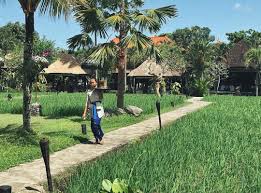 Set amidst beautiful tropical gardens, bebek tepi sawah villas is secluded away in its own little piece of paradise of ubud bali. Restoran Tepi Sawah Di Bali Yang Miliki Banyak Spot Cantik Cocok Untuk Berfoto