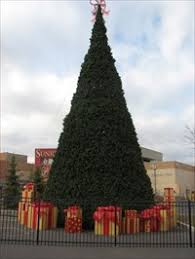 Check spelling or type a new query. Christmas Tree At Sunridge Mall Calgary Ab Holiday Displays On Waymarking Com