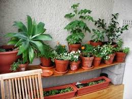The highlight of this small garden landscape is a firepit with welcoming chairs. Garden Design Ideas For Small Spaces The Micro Gardener