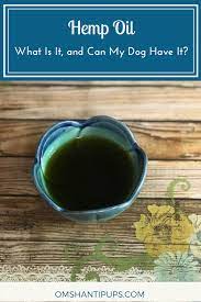 What Is Hemp Oil And Can My Dog Have It Om Shanti Pups Natural Dog Health Hemp Oil Dog Food Recipes