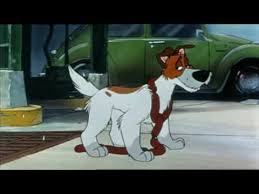 Exercise and stimulate your pets everyday! Oliver And Company Why Should I Worry English Youtube