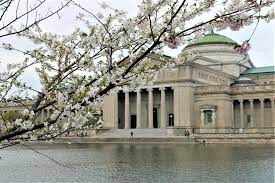 Maybe you would like to learn more about one of these? Where To See Spring Flowers In Chicago Choose Chicago