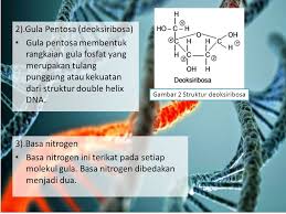 Maybe you would like to learn more about one of these? Kelompok 1 Mk Bioteknologi Hasper Genetika Adalah Ilmu Yang Mempelajari Sifat Keturunan Keturunan Adalah Proses Biologis Dimana Orangtua Atau Induk Ppt Download