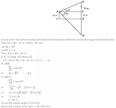 Selina Concise Mathematics Class 10 Icse Solutions Heights And Distances Student Problem Solving Mathematics Problem Solving Skills
