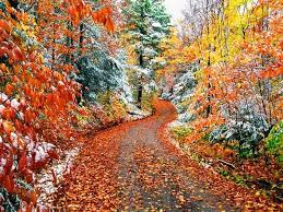 End Autumn Colorful Winter Colors Fall Forest Hd Free Download Forest Wallpaper Autumn Scenery Autumn Painting