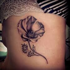 Pin On Brittany