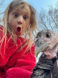 Backwoods Home Magazine