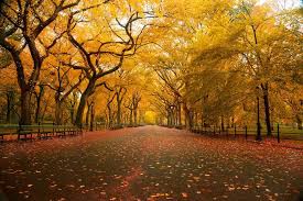 We did not find results for: Outono Em Nova York Dicas De Viagem Turista Profissional
