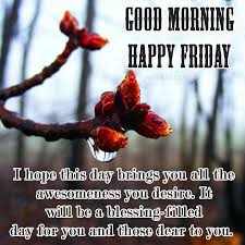 May you not go into the weekend fruitless in jesus' name. 50 Best Friday Blessings Images For Free Download