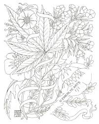 My new psychedelic coloring book is now available on amazon ! Alice In Wonderland Stoner Acid Coloring Pages For Adults Coloring And Drawing