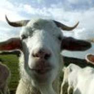 Gedreht wurde für einen fernsehspot der deutschen fernsehlotterie, der am sonntag, 20. Mutter Kind Kur Im Lotte Lemke Haus In Bensersiel Schnullerfamilie