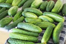 Cucumbers don't last long, especially after being sliced. How To Store Cucumbers Without Pickling 5 Easy Recipes