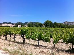 A New Love Of Rose Review Of Mas De La Dame Les Baux De Provence France Tripadvisor