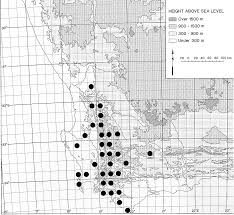 Image result for Aizoon schellenbergii