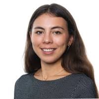 300+ "Capelle" profiles