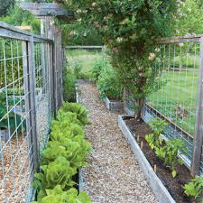 Wood a temporary mesh deer fence surrounding a vegetable garden in the summer nova scotia canada stock photo picture and rights garden deer fence raised garden bed outdoor living today. How To Design A Pest Proof Vegetable Garden Finegardening