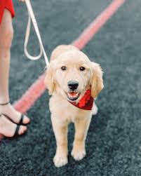 Happy 6 months to my sweet Beverly bean! Using her half birthday as an  excuse to post more adorable photos from grad pics. She was truly the star  of the shoot (sorry