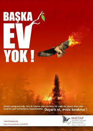 We did not find results for: Haytap Hayvan Haklari Federasyonu Facebook