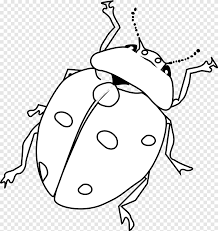 Play coloring games at y8.com. Beetle Coloring Book Ant Child Beetle White Child Png Pngegg