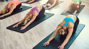 10 faculty of kinesiology & recreation management, university of manitoba, winnipeg, mb, canada. Here S Where To Find Free Yoga And Meditation Classes In Toronto Listed