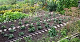 Eine Gute Anbauplanung Ist Die Halbe Miete Fur Den Ernte Erfolg Im Gemusegarten Nutzen Sie Den Arbeitsarmen Winter Um Garten Gemusegarten Anlegen Bepflanzung